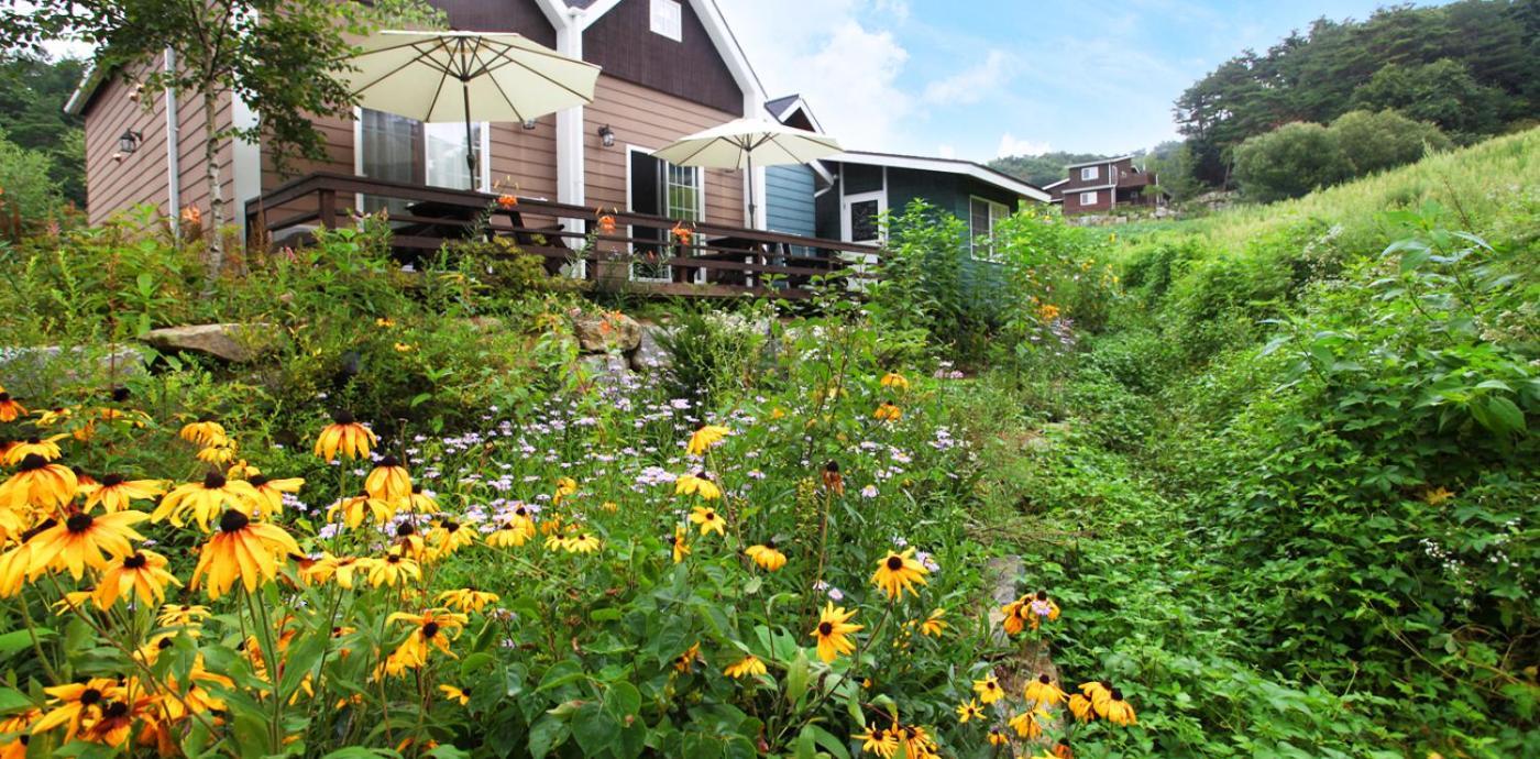 Soop And Soop Pension Pyeongchang Exterior foto